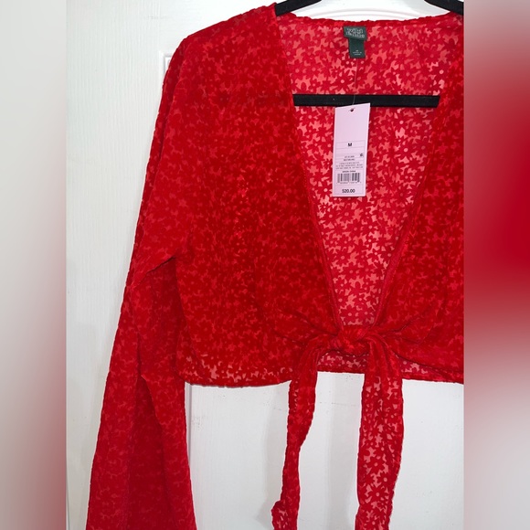 Wild Fable Tie Front Long Sleeve Crop Top Red Floral Velvet Design NWT — M - Picture 3 of 6